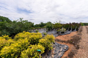  Photo 114