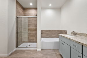 Primary Bathroom (3)