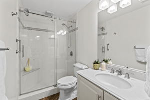 Lower Level - Bathroom