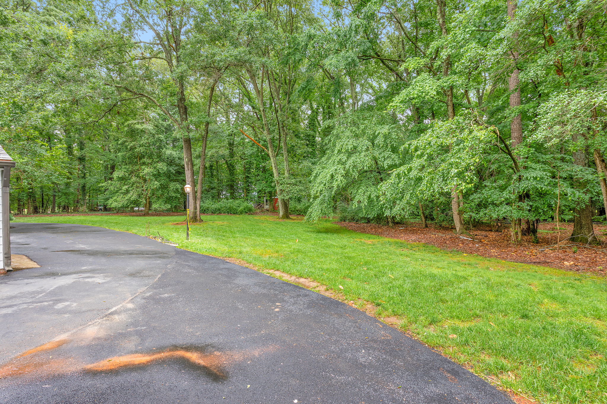 51-Backyard