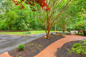 47-Garden Path