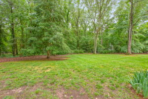 50-Backyard