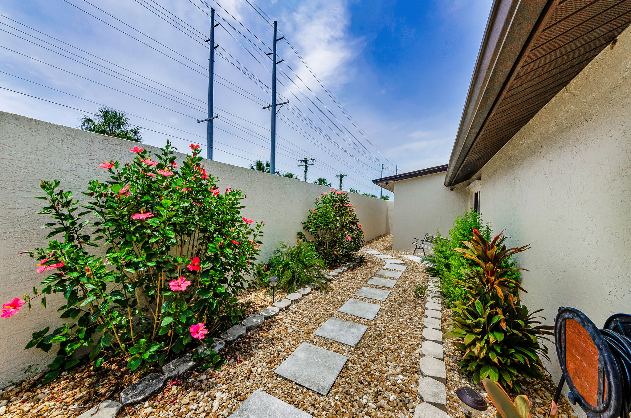 Backyard 1