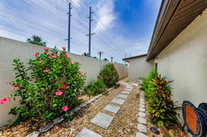 Backyard 1