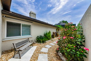Backyard 2