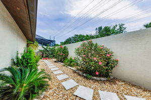 Backyard 4
