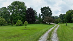  Photo 0