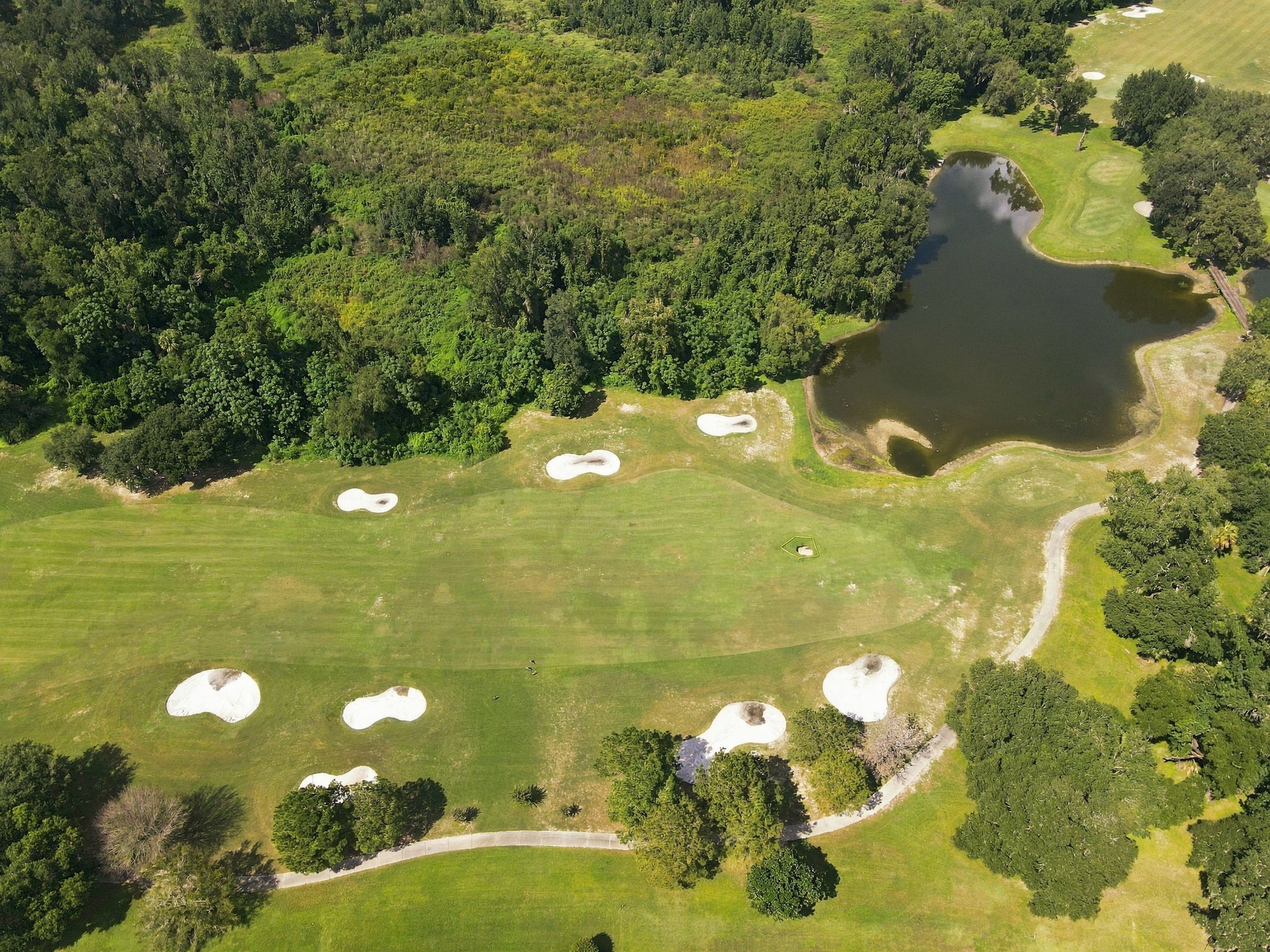 Aerial (3)