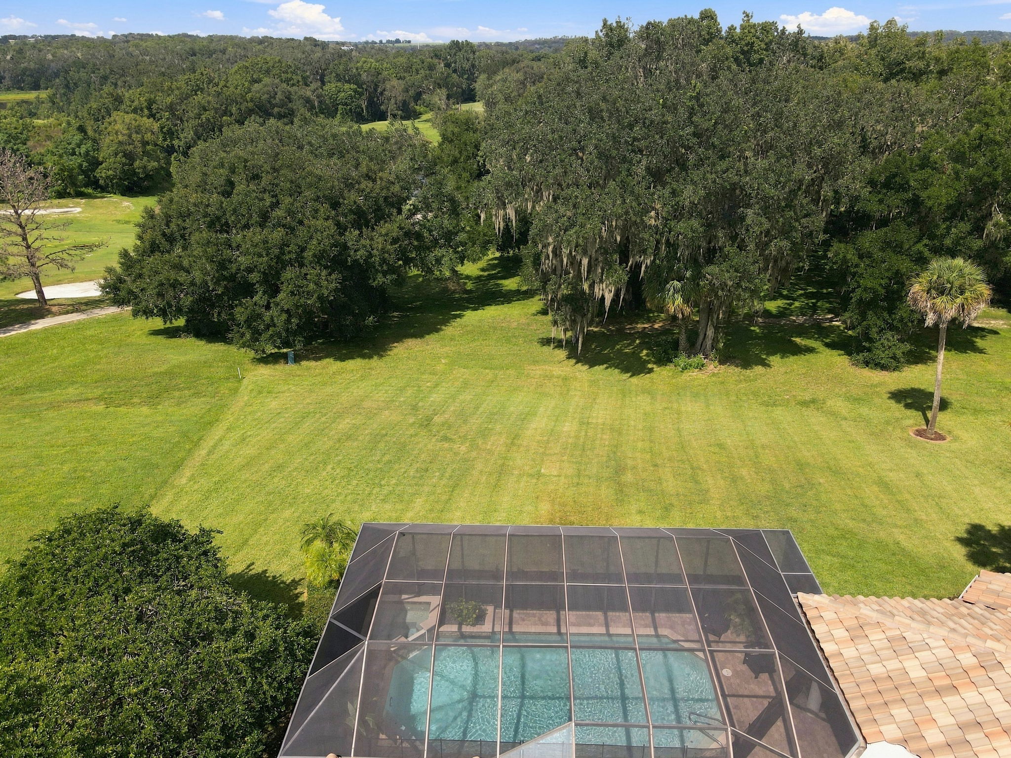 Aerial (13)