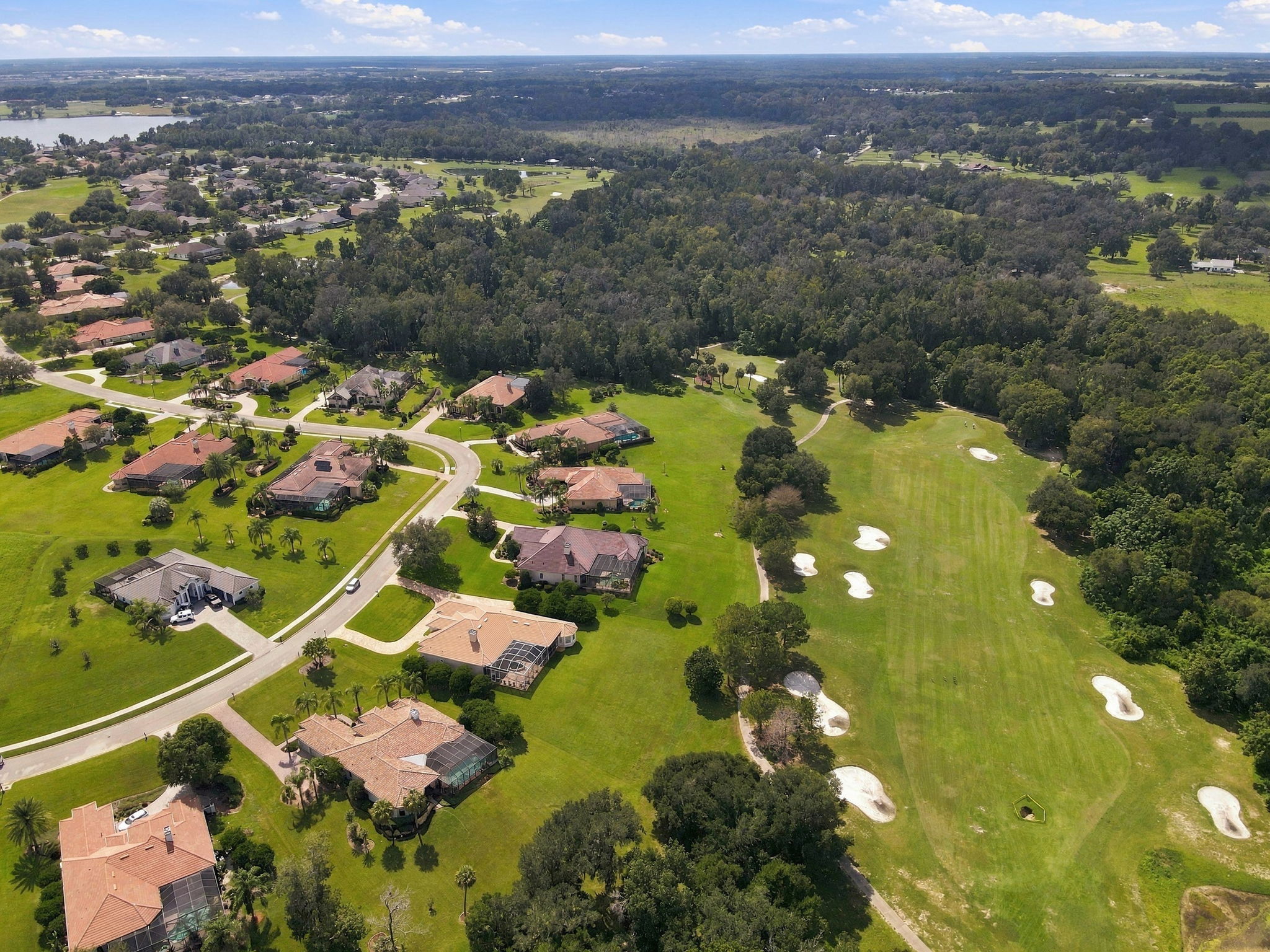 Aerial (14)