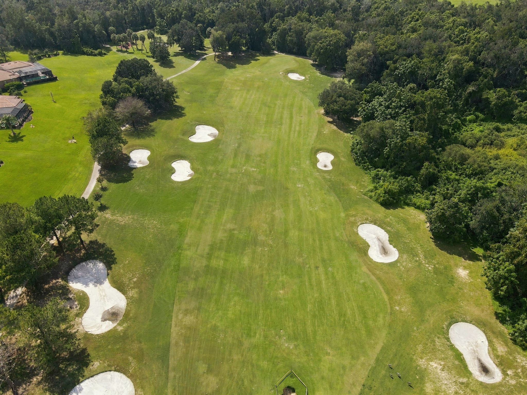 Aerial (21)