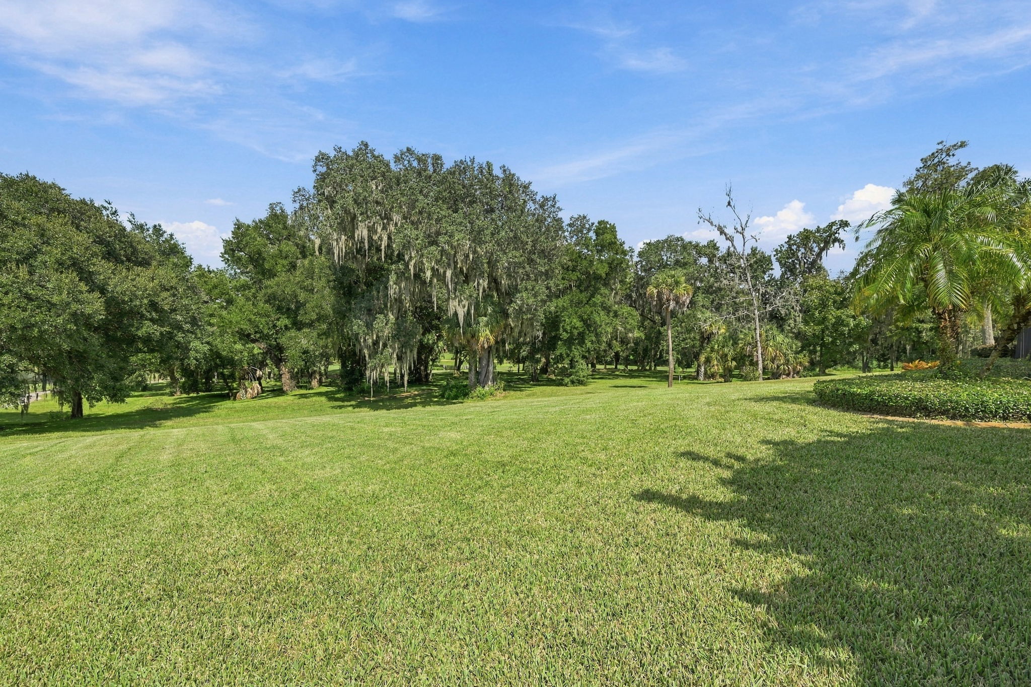 Backyard1