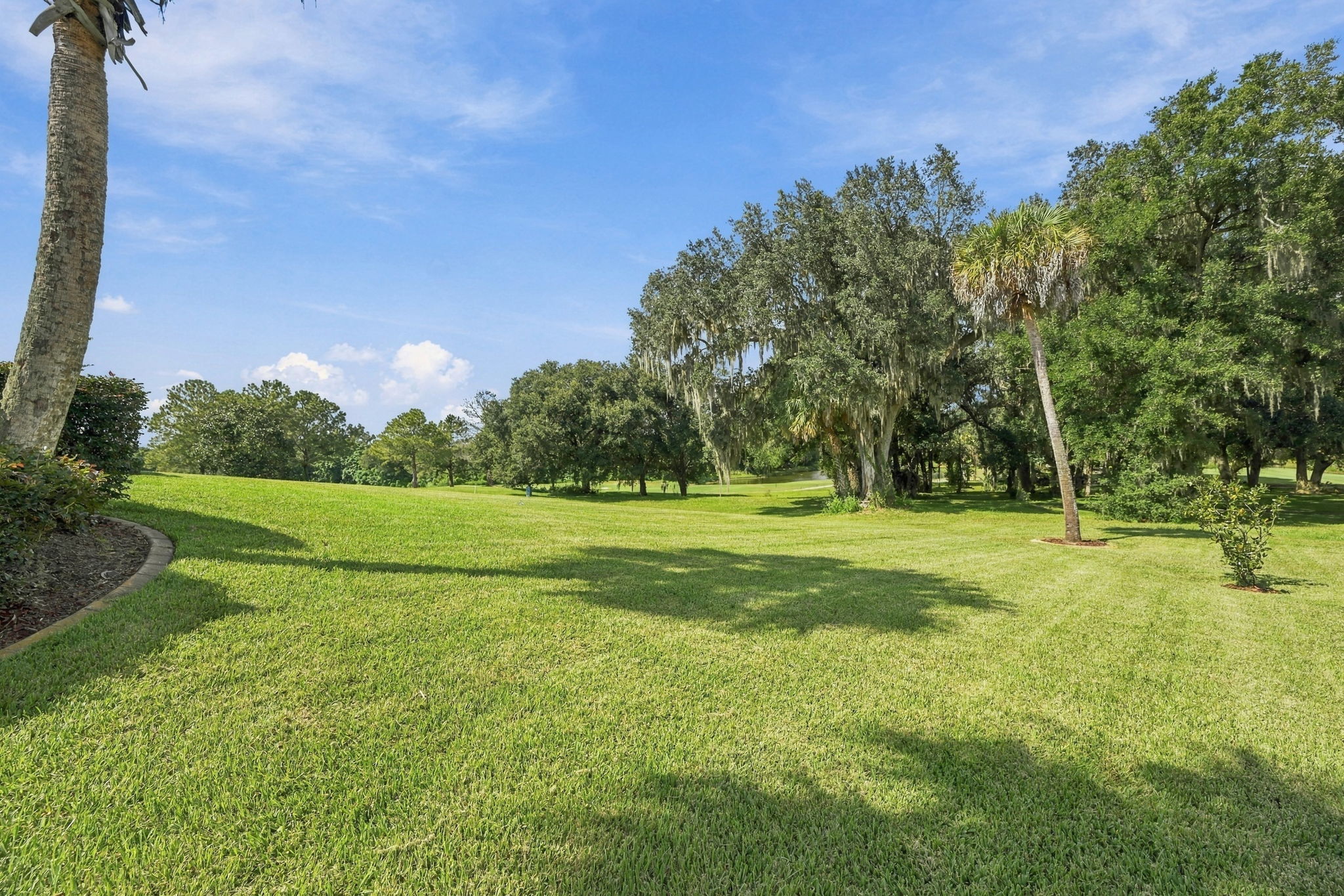 Backyard3