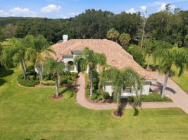 Aerial (1)