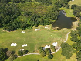 Aerial (3)