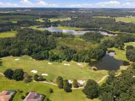Aerial (6)