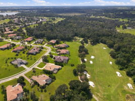 Aerial (14)