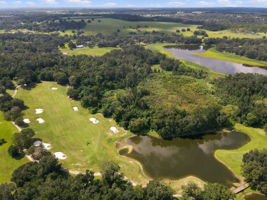 Aerial (16)