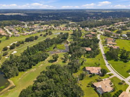 Aerial (19)