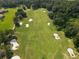 Aerial (21)