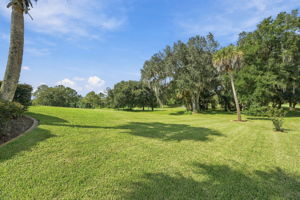 Backyard3