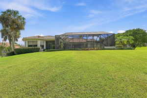 Backyard6