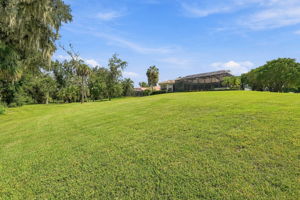 Backyard7