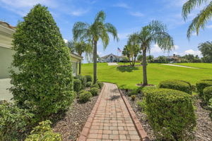 Frontyard