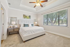 Tray Ceiling