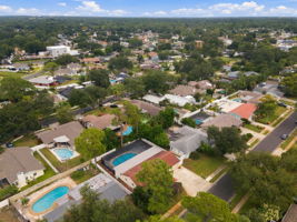 Aerial (19)
