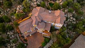 Birds Eye