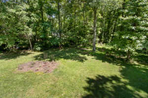 Deck View