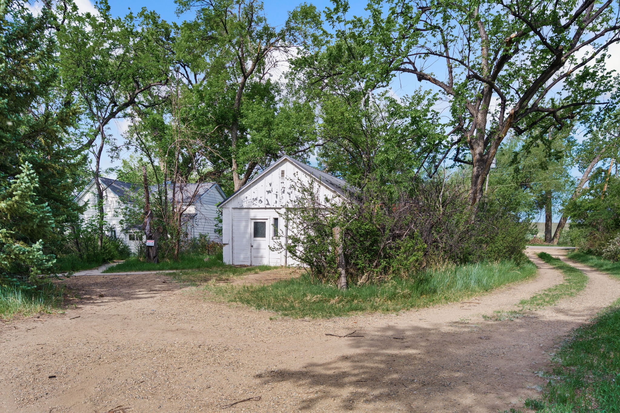  Photo 21