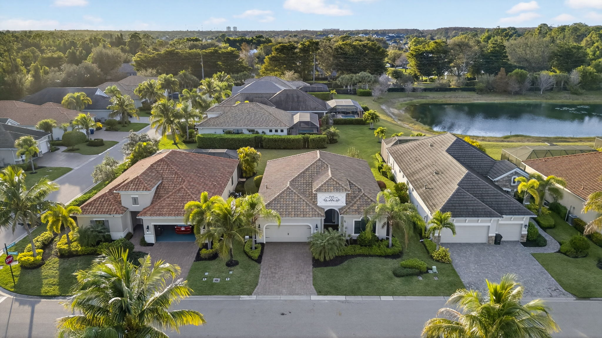 Aerial Front Exterior 3