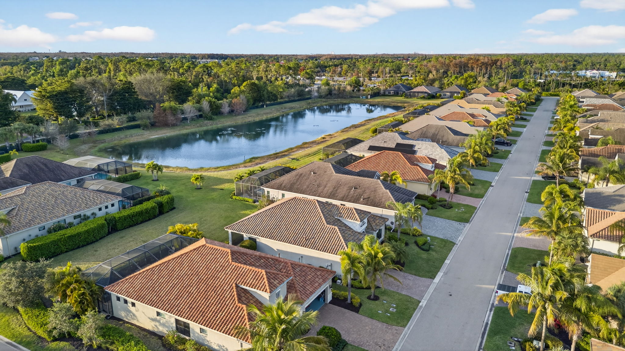 Aerial Front Exterior 4