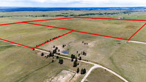 Property Lines are Approximate and not a survey