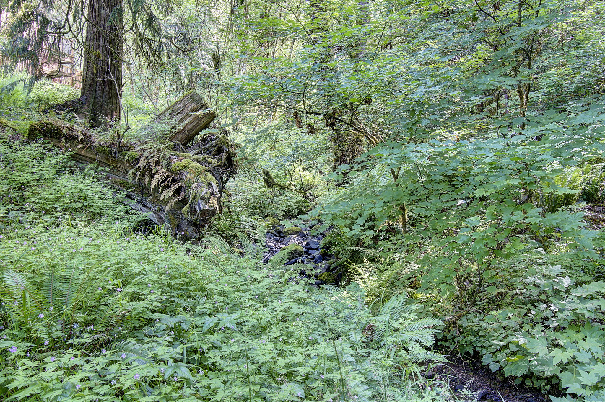  Photo 40