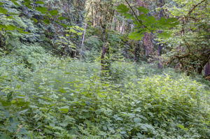  Photo 32