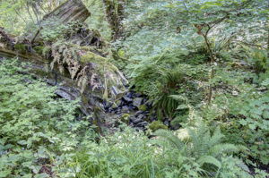  Photo 38
