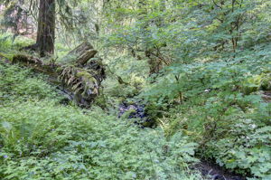  Photo 39