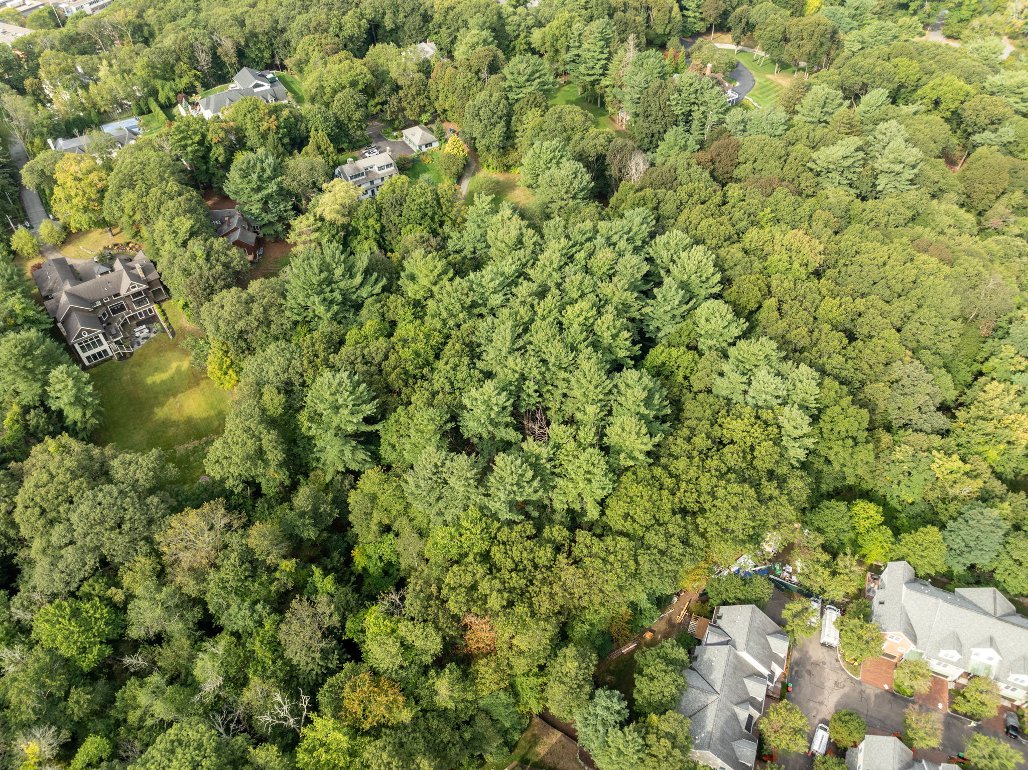 Drone (4 of 8)