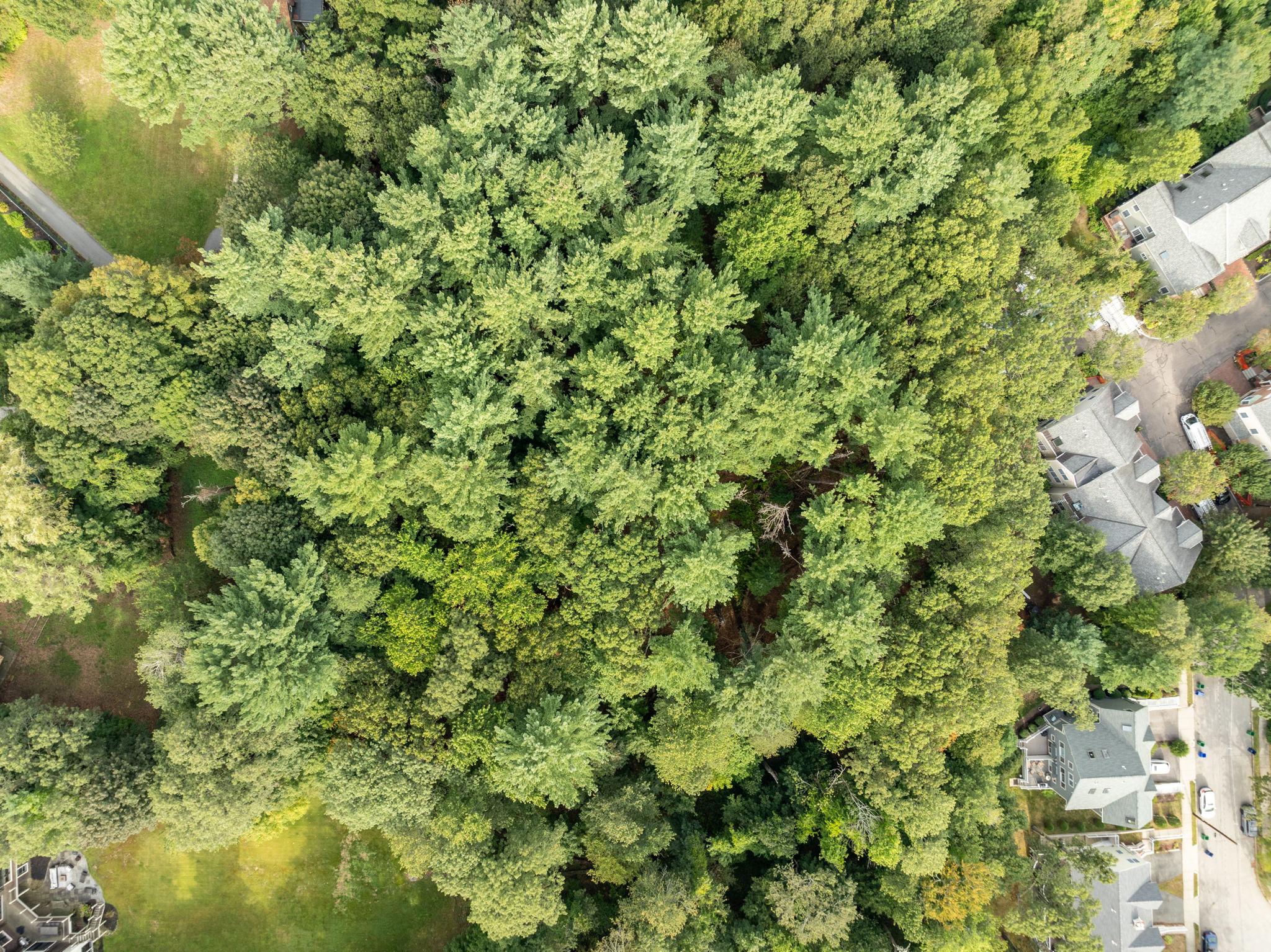 Drone (6 of 8)