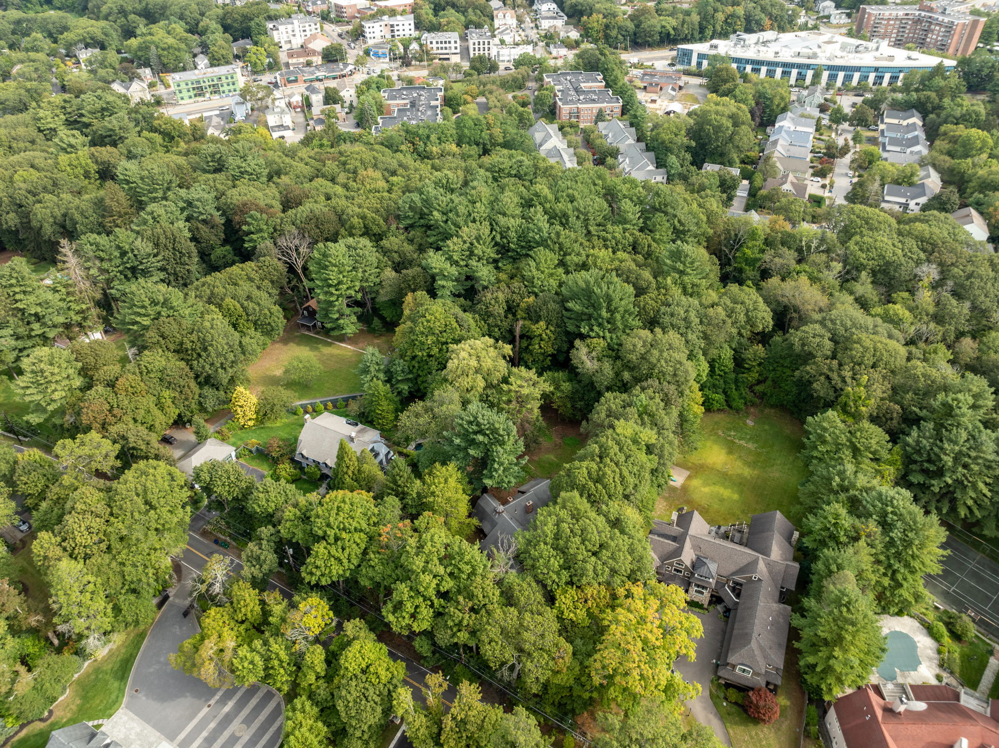Drone (8 of 8)