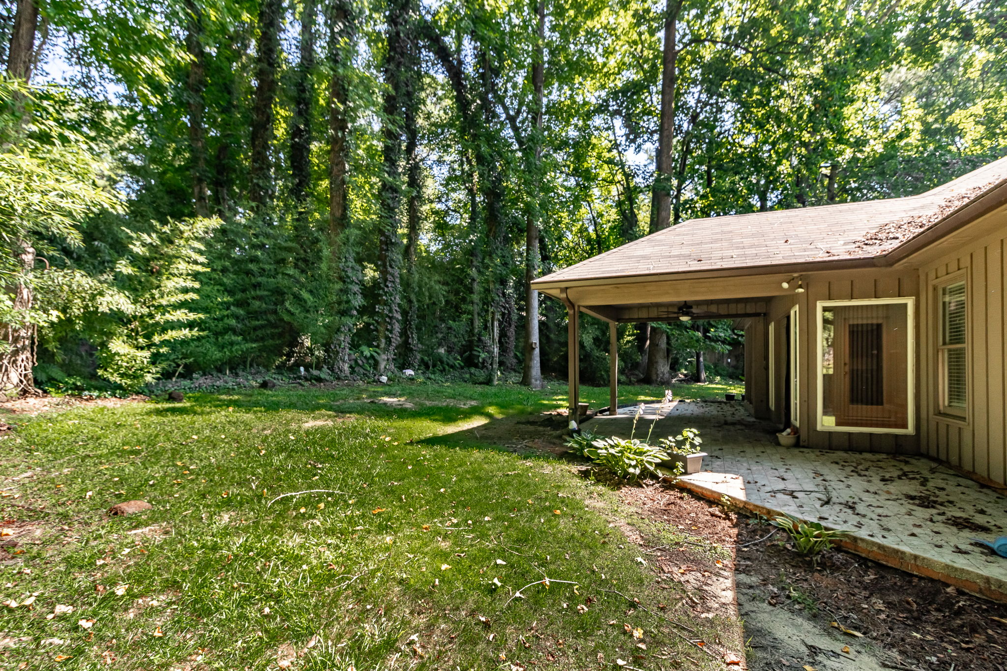 Back Yard
