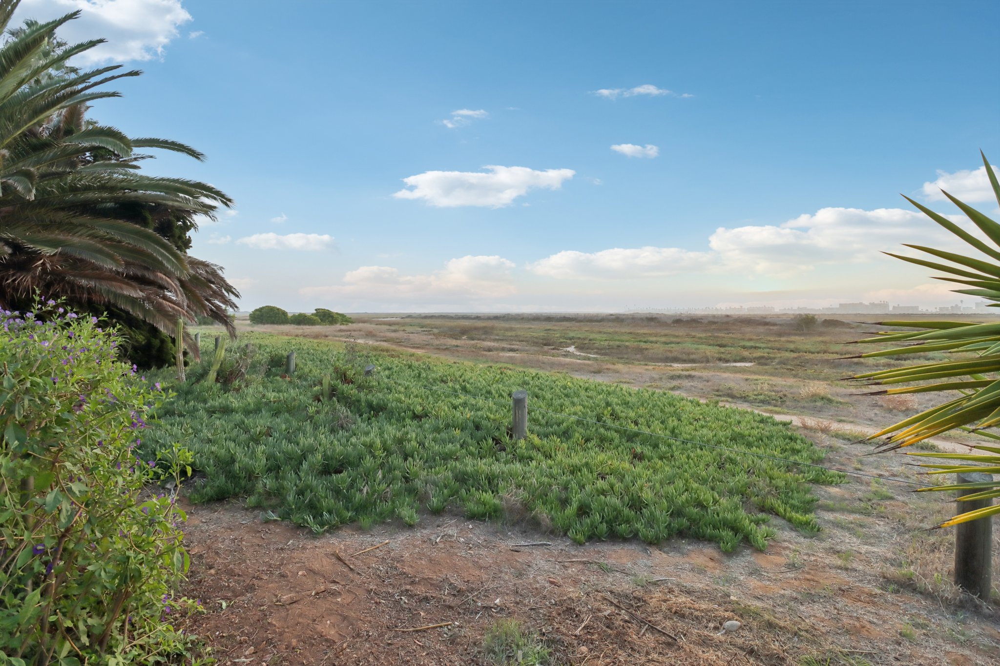 5th St-S2910-070.jpg