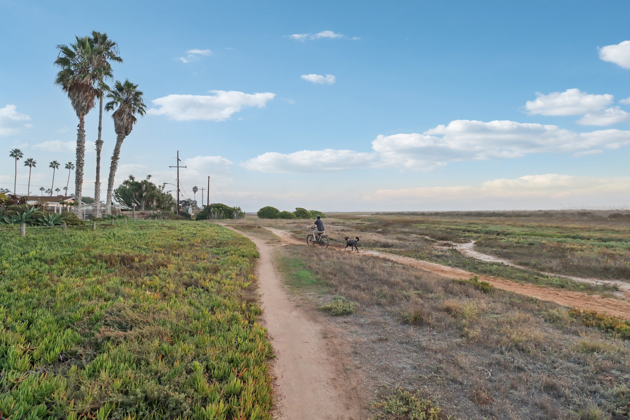 5th St-S2910-073.jpg