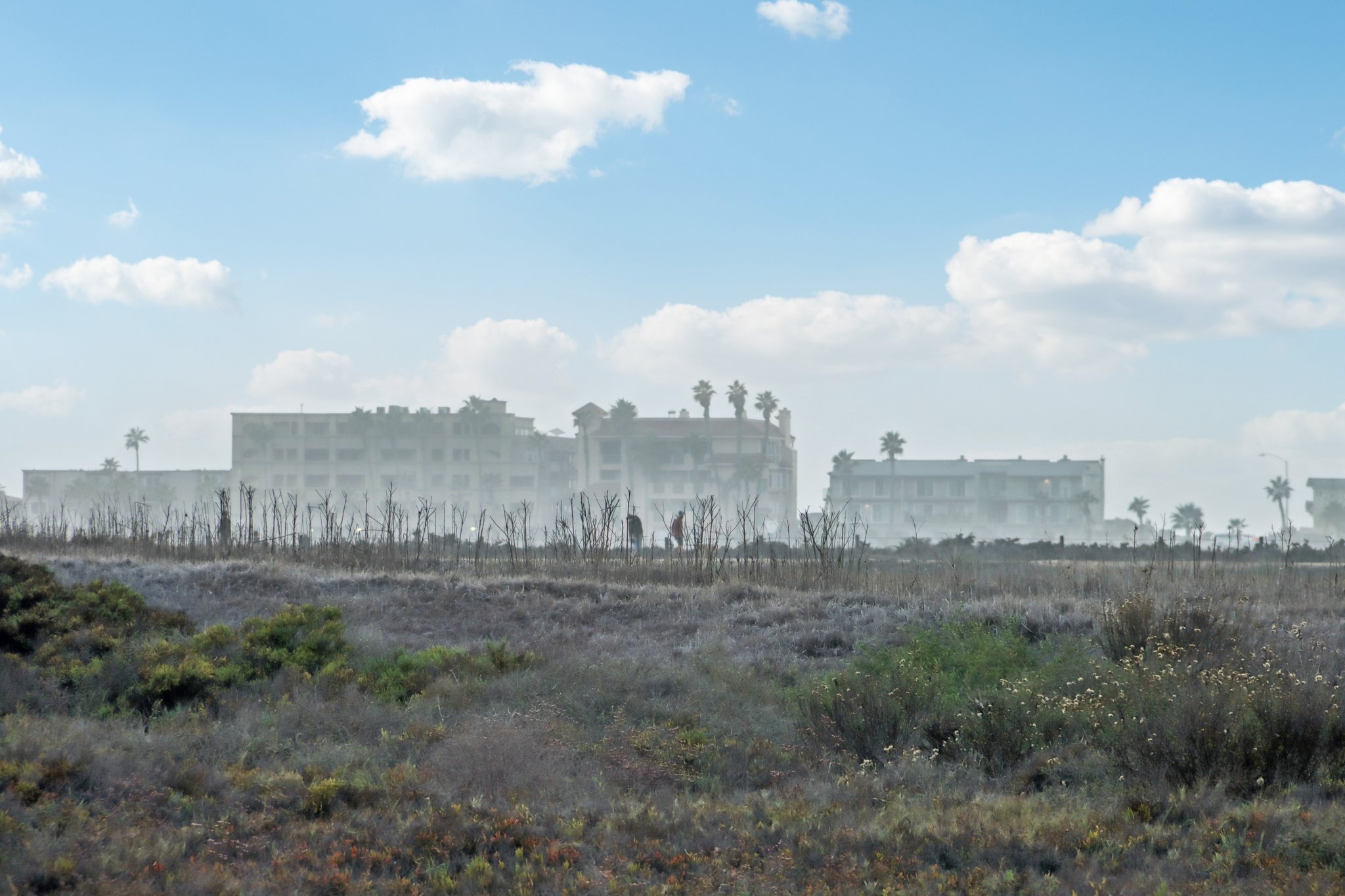 5th St-S2910-078.jpg