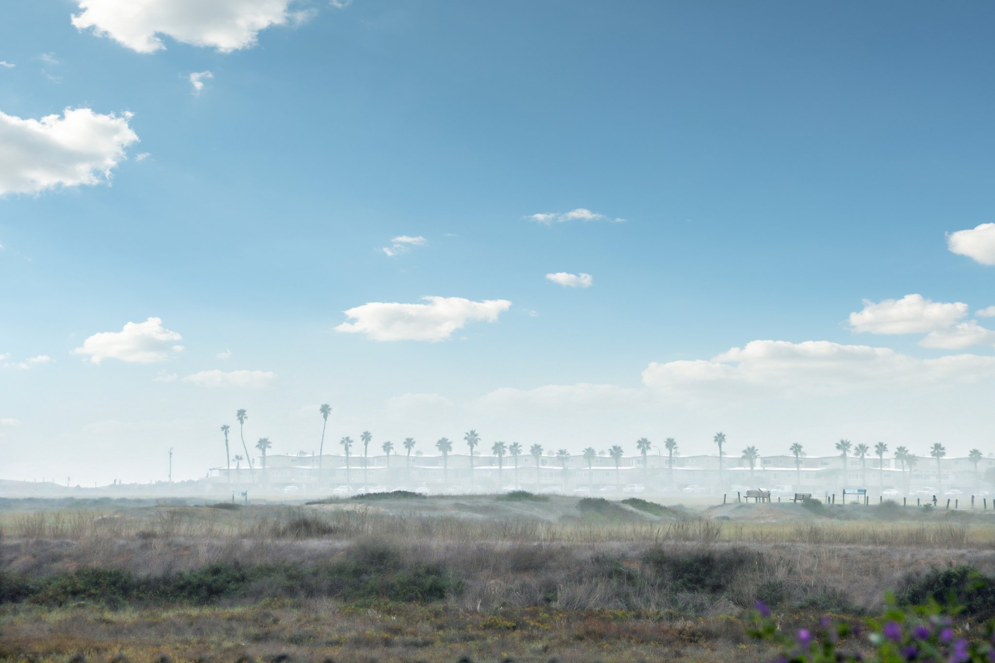 5th St-S2910-082.jpg