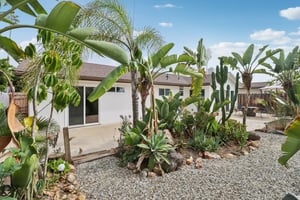 5th St-S2910-057.jpg