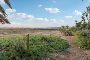 5th St-S2910-069.jpg